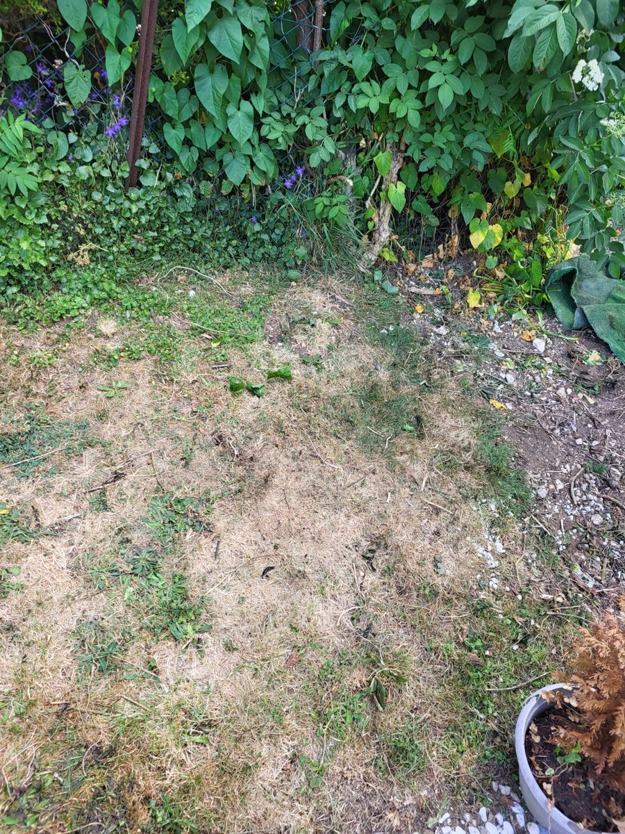 Garden clearance — after