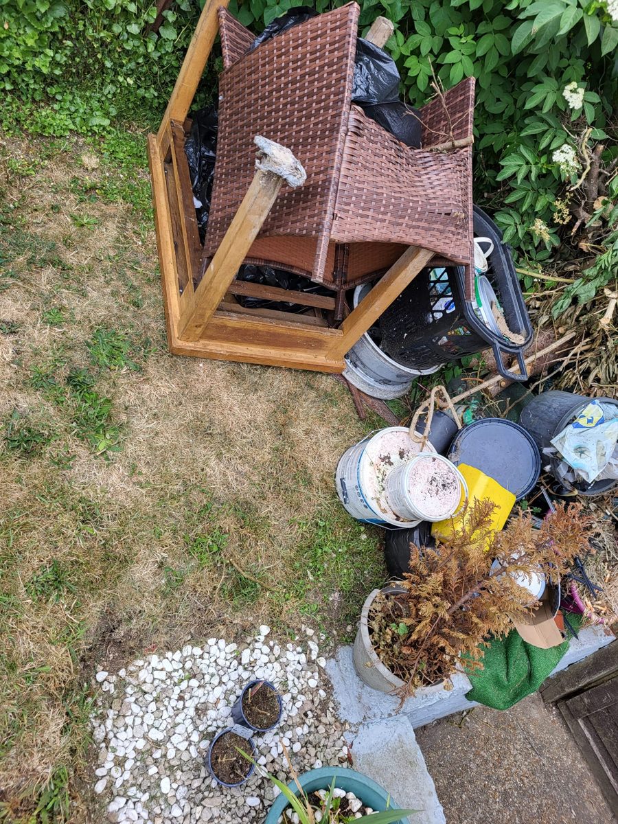 Garden clearance — before