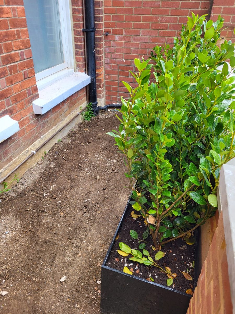 Front garden clearance — after