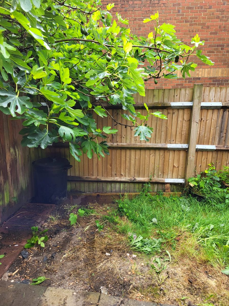 Garden clearance — after