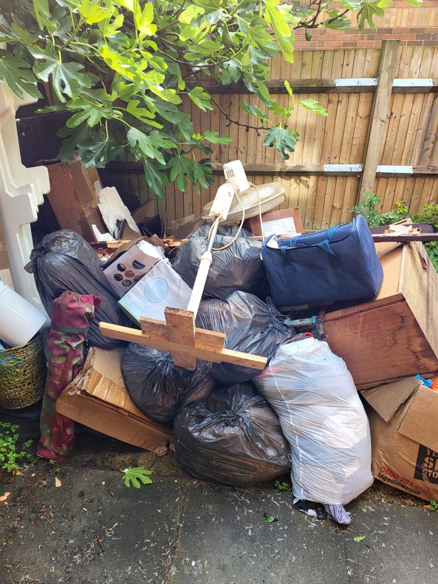 Garden clearance — before