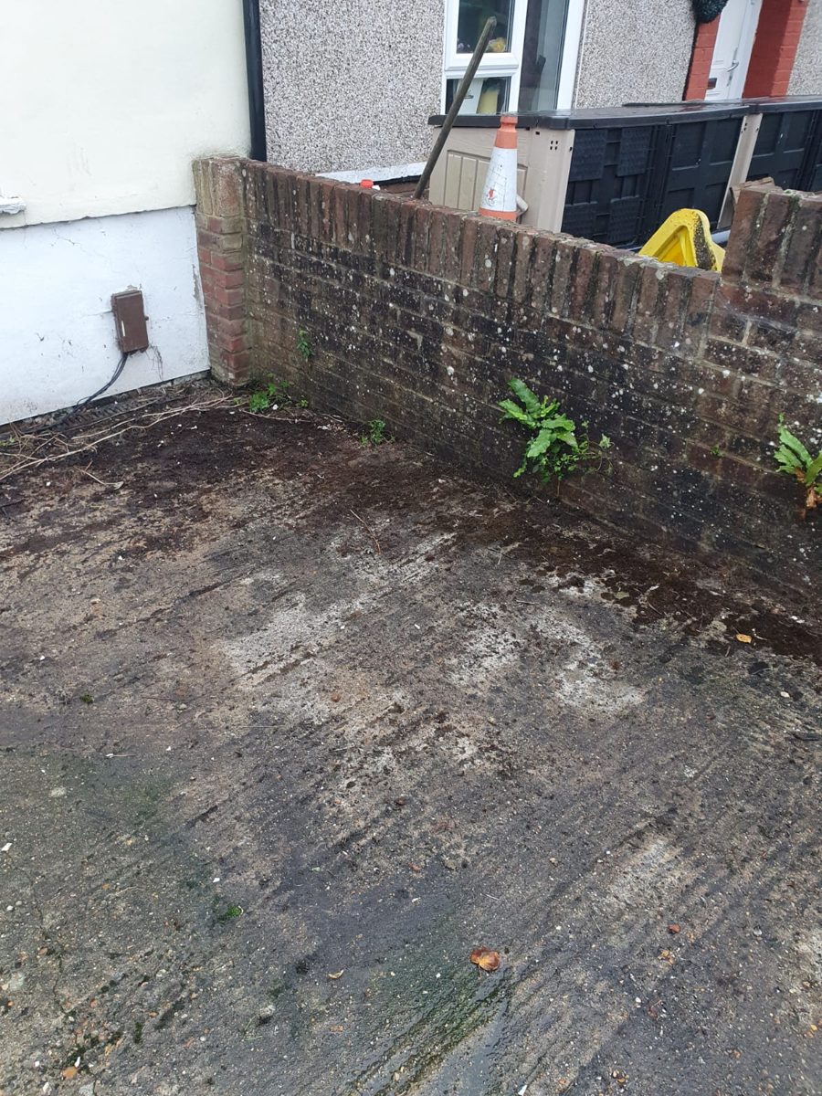 Front yard clearance — after